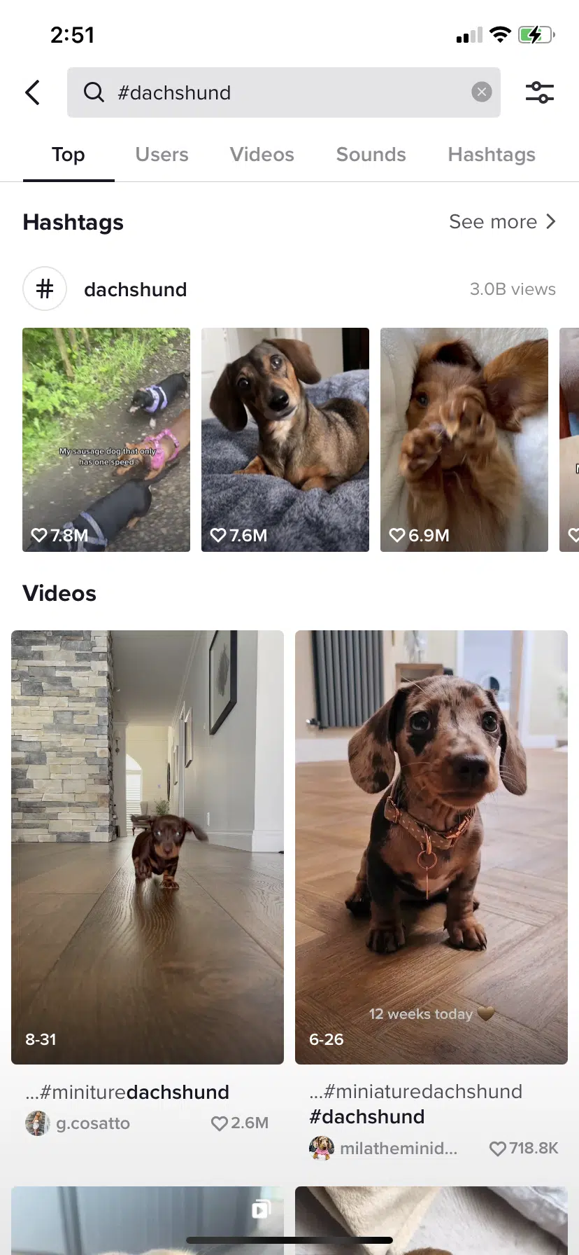 https://blog.hootsuite.com/wp-content/uploads/2021/11/how-to-see-hashtag-views-2-620x1342.png